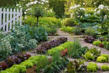 Красивый огород и сад ландшафтный дизайн — карточка от