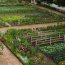 Landscape Design Of The Garden With His Hands