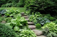 Landscape Designs Of Garden Photos